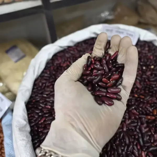Pahadi Red Capsule Rajmah